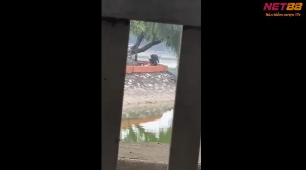 Cảnh quay nóng bỏng, tự nhiên ngoài trời trong clip CHONGTOICO-0403 thuộc chuyên mục sex viet, sex khong che